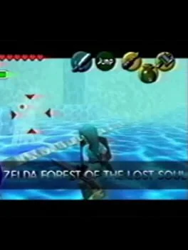 Zelda: Forest of the Lost Soul